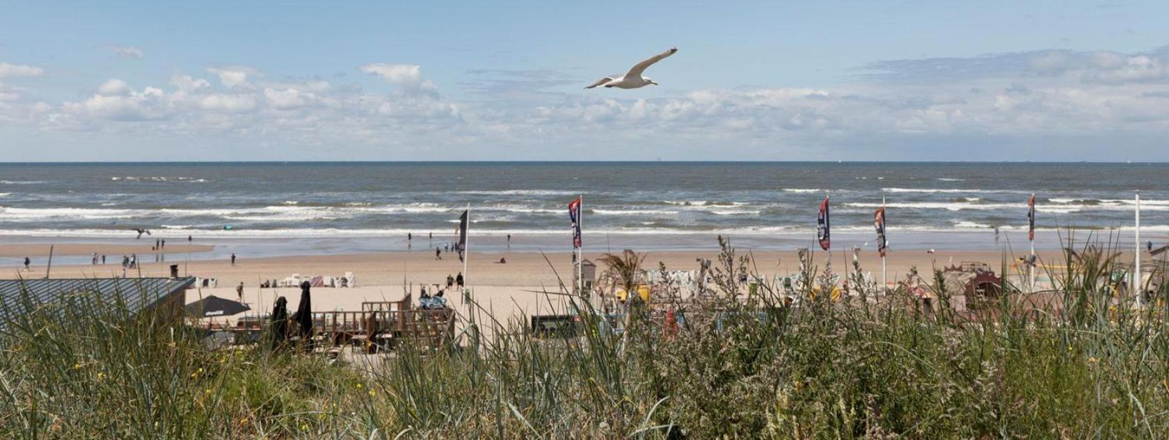 Beach&Dunes Apartment ザントフォールト エクステリア 写真