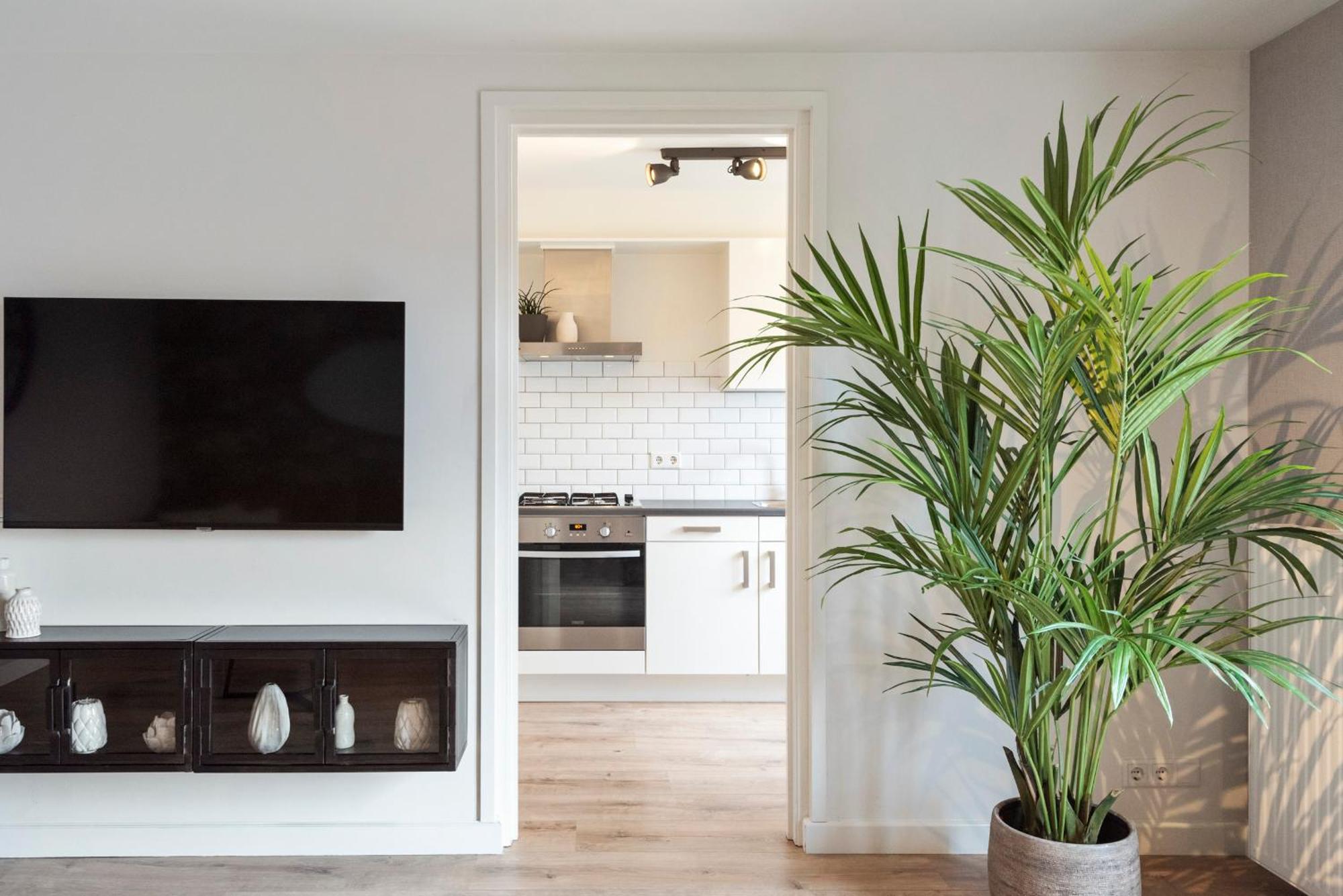 Beach&Dunes Apartment ザントフォールト エクステリア 写真